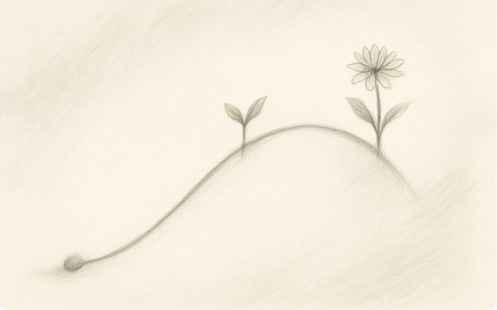 Pencil sketch of a curved line growing from a seed into a blooming plant, symbolizing brand story progression.